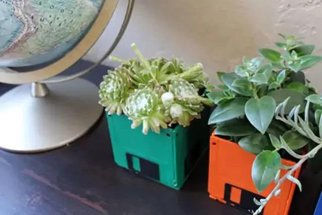 17种家庭植物和花盆创意