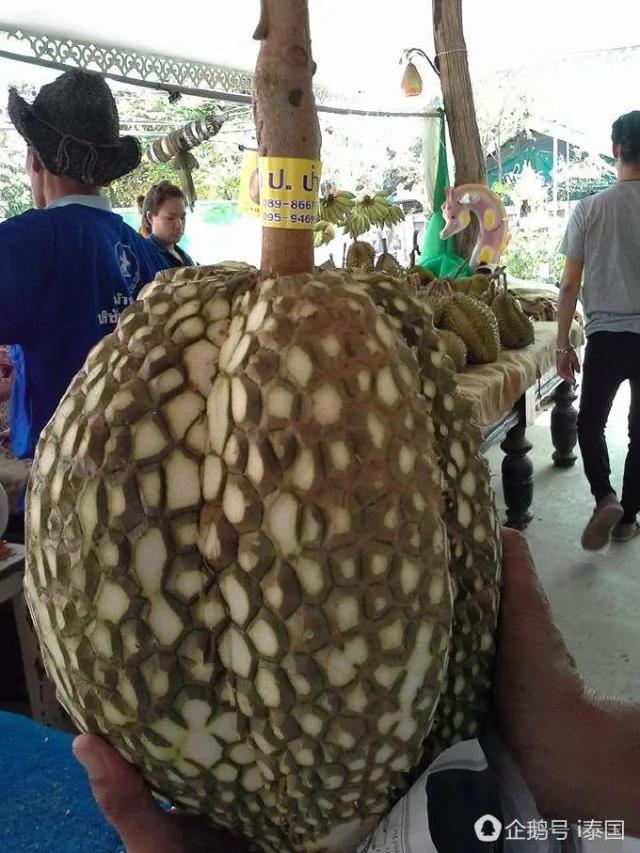 贴心大叔卖“无刺榴莲” 生意好到爆