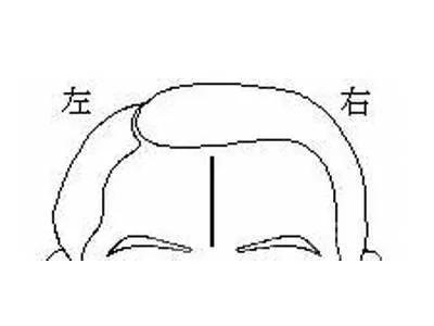 额头上的皱纹 就把你的命运暴露光了