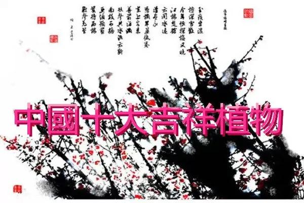 中国十大吉祥植物
