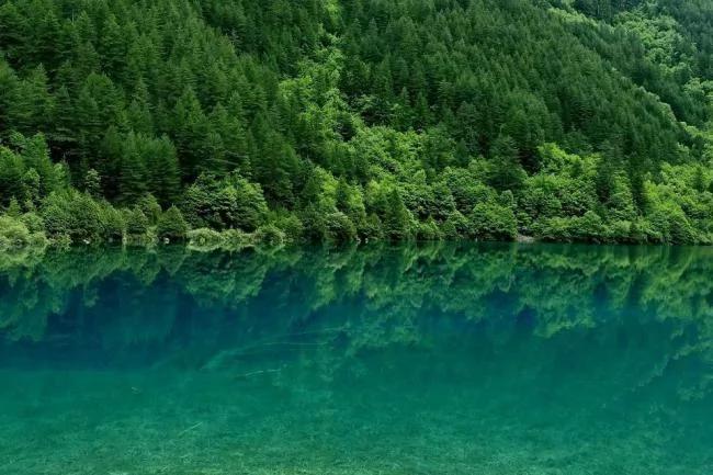 夏季去九寨沟看水 心都凉透了