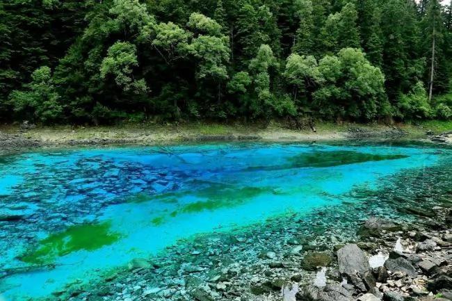 夏季去九寨沟看水 心都凉透了