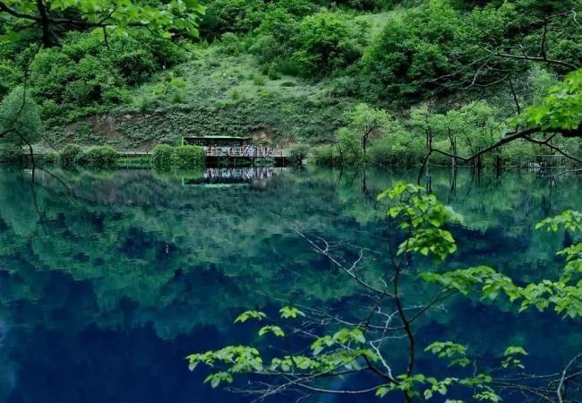 夏季去九寨沟看水 心都凉透了