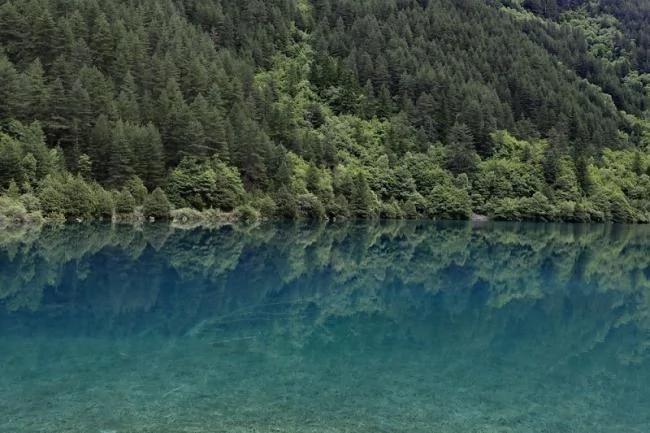 夏季去九寨沟看水 心都凉透了