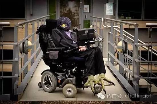 这只神帅老鹰的英姿被无意间拍下 竟让网友疯狂暴动!