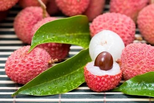 护肾有绝招 食物来帮忙