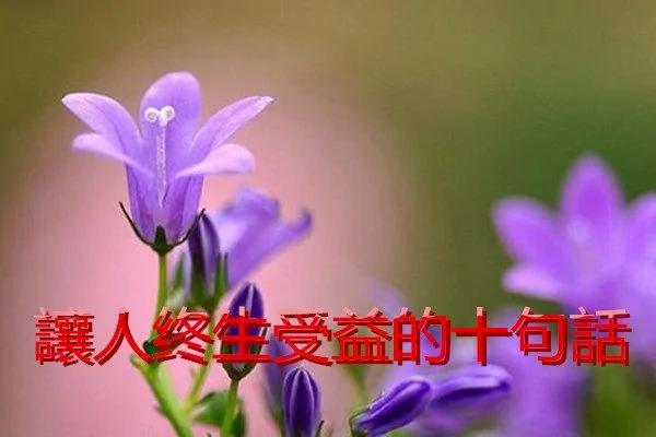 让人终生受益的十句话