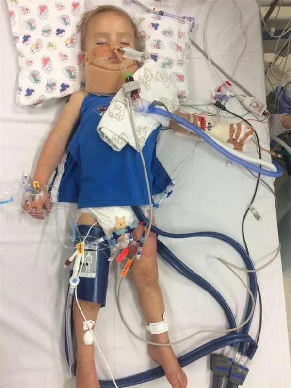 狗狗咬着男主人裤子把他拖到湖边 看到湖面上的“漂浮物” 他崩溃了!