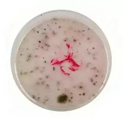 快翻翻你包里有没有这些东西!久成毒药