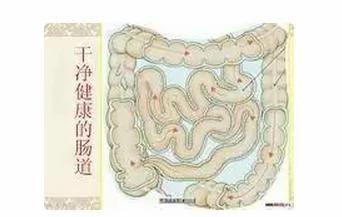 史上最强「清除宿便」法 一次排出6公斤宿便!肠子一干二净!这方法实在太好用了!