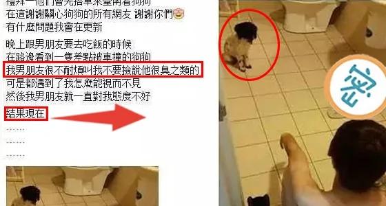女友捡回流浪狗却被男友嫌臭 想不到回家竟发现超级暖心的场景!网友看了全融化~!