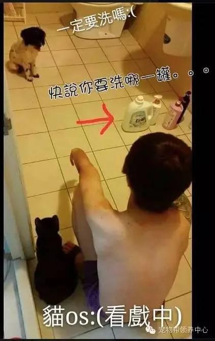 女友捡回流浪狗却被男友嫌臭 想不到回家竟发现超级暖心的场景!网友看了全融化~!