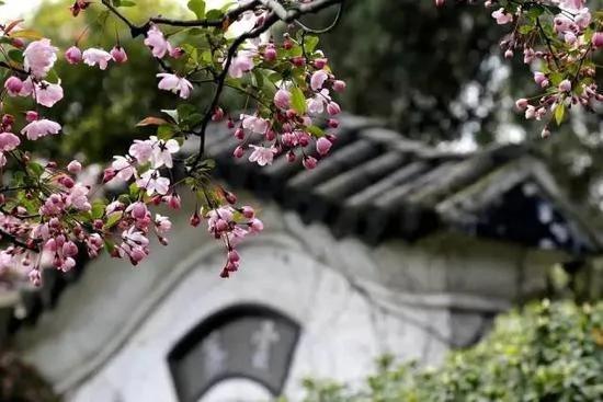 外国人独爱这10个中国小城 你呢 ?
