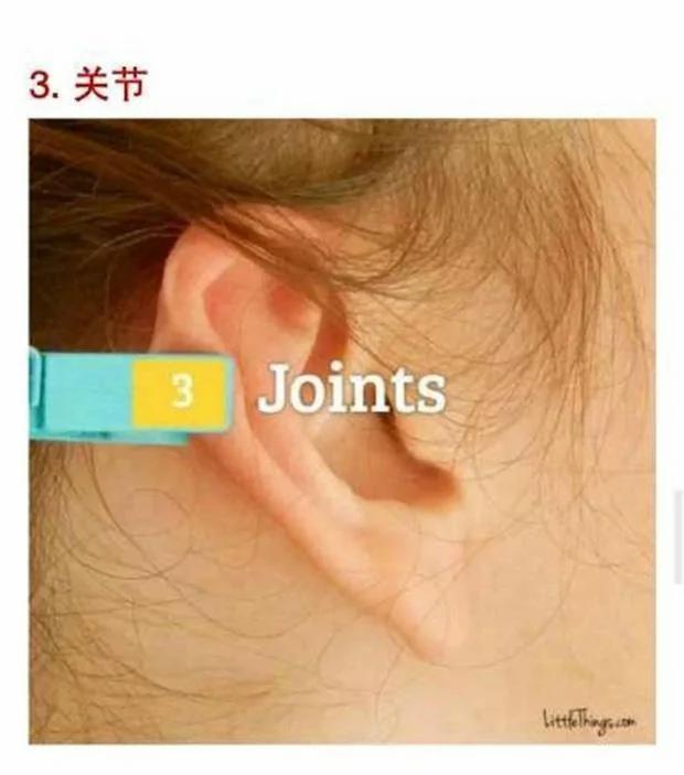 她每天把“晒衣夹”夹在耳朵不同位置 没想神奇的事情就发生了!!厉害到不敢相信!