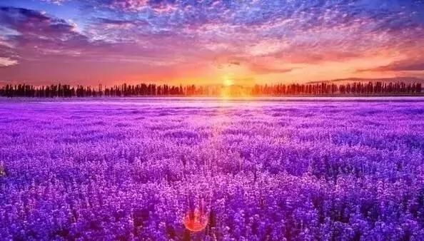 不是西藏 不在青海 这里拥有真正的美景!