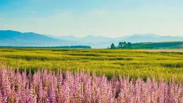 不是西藏 不在青海 这里拥有真正的美景!