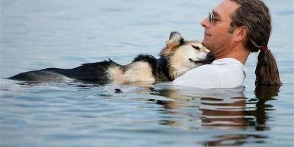 主人舍不得把20岁老狗安乐死…每天都抱着爱犬到湖里做水疗 画面感动上万网友!