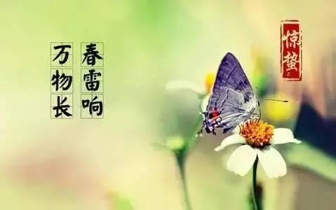 能看懂的人就会健康长寿 看不懂只会百病缠身