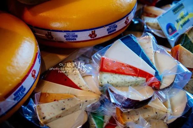 鹿特丹太美!荷兰人玩转生活有一套啊