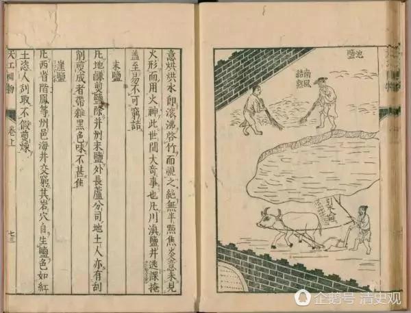 一粒盐如何压垮大明王朝?