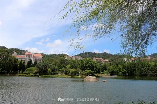 盛夏光年 邂逅最美厦门