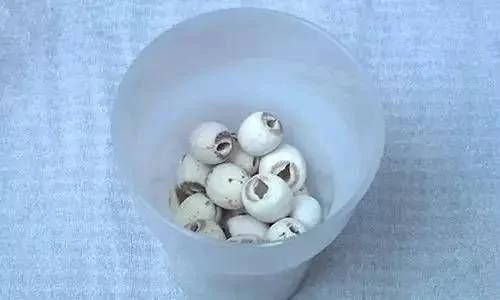三伏天快到了 每天吃点它 轻松祛六邪!