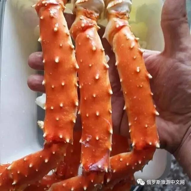 俄罗斯最美味的城市 不是莫斯科 不是圣彼得堡 居然是它~