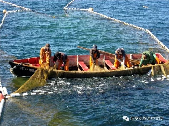 俄罗斯最美味的城市 不是莫斯科 不是圣彼得堡 居然是它~