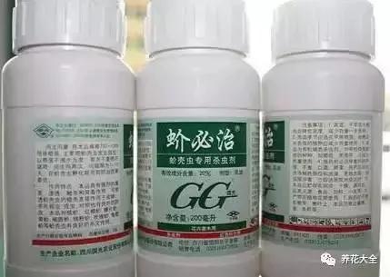 快死的花 只要用上“这一招” 立马起死回生!以后再也不用担心了