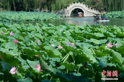 没空调、没冰箱 故宫中的皇帝是如何消暑的?