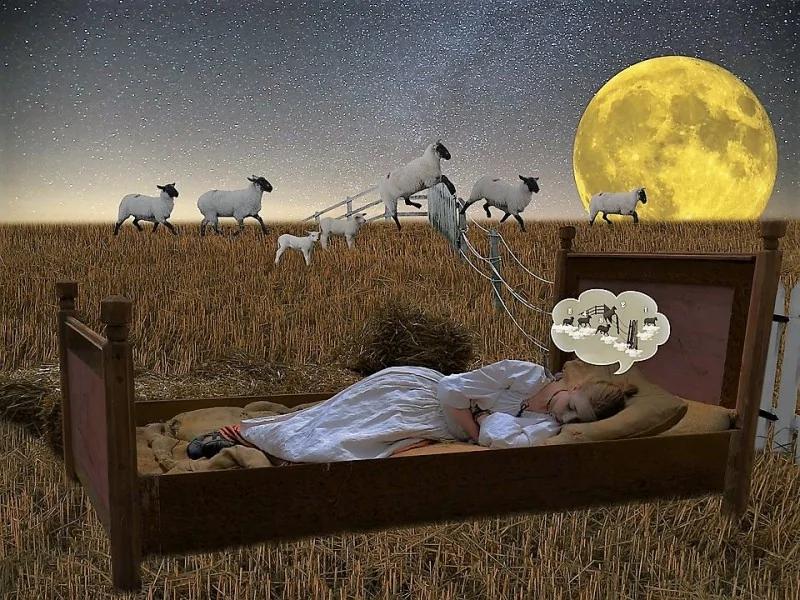 夜晚失眠? 不需吃安眠药 专家找到更好助眠法