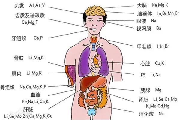 致癌几率最高的食物 你却天天都在吃!