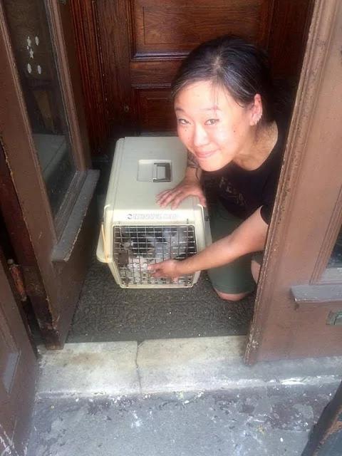被主人扫地出门!猫咪呆坐猫砂盆旁狂哭两小时