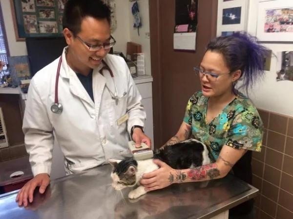 被主人扫地出门!猫咪呆坐猫砂盆旁狂哭两小时