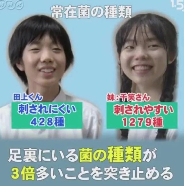 世界上杀人最多的动物 答案让人想不到