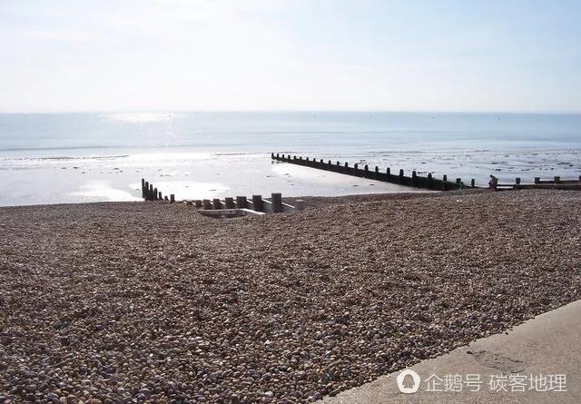 英国夫妇海滩漫步发现“怪蛋” 价值47万