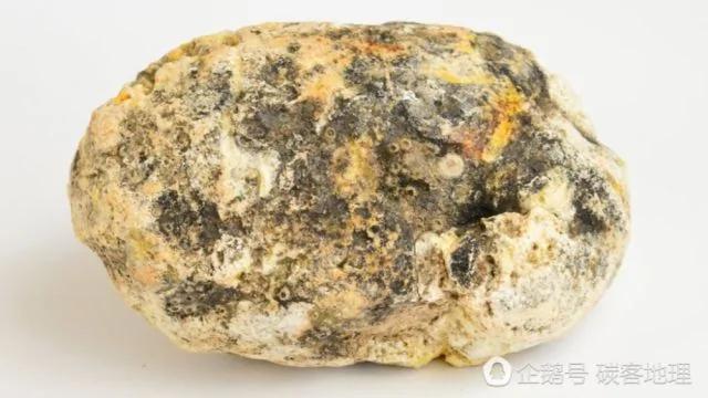 英国夫妇海滩漫步发现“怪蛋” 价值47万