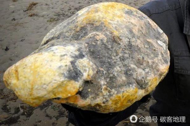英国夫妇海滩漫步发现“怪蛋” 价值47万