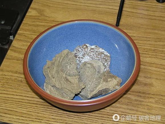 英国夫妇海滩漫步发现“怪蛋” 价值47万