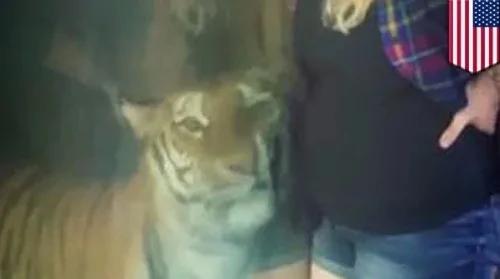准妈妈虎舍前玩自拍 老虎举动令人惊呆了