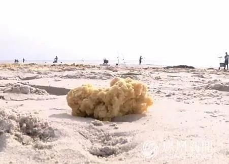 法国沙滩惊现“遍地黄金” 却吓坏当地居民