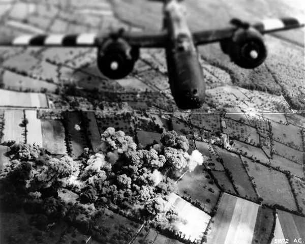 二战时这个美国空军在执行任务中「消失」 失踪近70年后 军方在这颗「大树」发现他!
