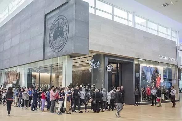 惹不起的加拿大"鹅" 加国人的花样血泪史