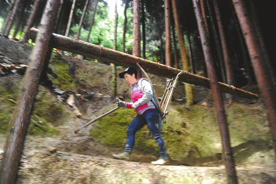 深山女背夫身怀绝技 一天背千斤卖250元