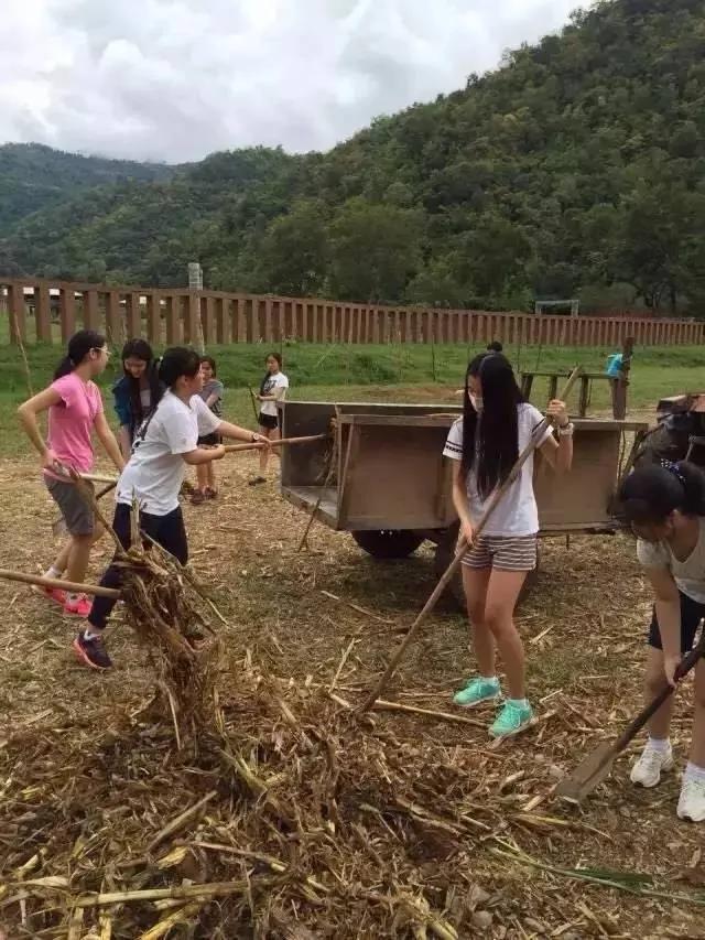 14岁吃素 17岁创素食品牌 三个小女孩 将美好理想付诸行动!