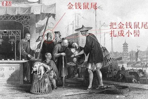 清朝的辫子原来是这样的 清宫戏骗了我们