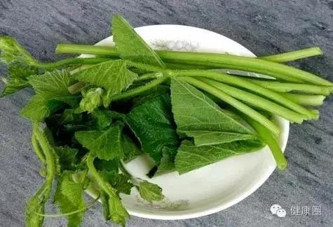 这种菜叶子能治胃痛、去结石、助戒烟