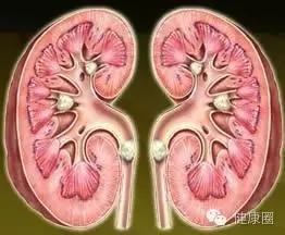这种菜叶子能治胃痛、去结石、助戒烟