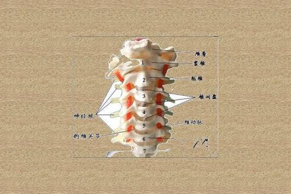 真可怕!一种新病席卷中老年 可致瘫痪!
