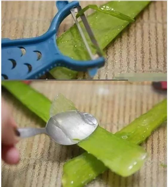 她在家里养盆这个 皮肤竟变得白嫩光滑 不花一分钱
